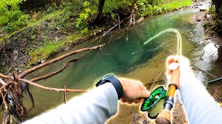 Catching HUGE Brown Trout In Small Creeks!