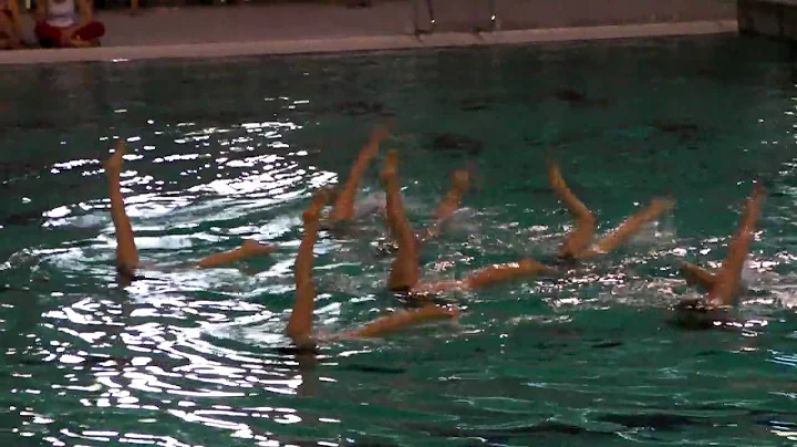 Uitvoering ploeg age 1 WVZ SB 2010.MP4