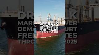 ⚓️ Dry bulk demand is expected to remain soft throughout 2025, with a few exceptions. screenshot 5