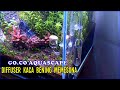 Peralatan CO2 Glass/kaca dari Go.Co Aquascape