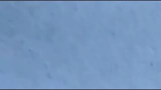 Doğal El Yapımı Ok Ve Yaylarımızı Sizlere Tanıttık Ve Atışımızı Sizlere Gösterdik Iyi Seyirler.