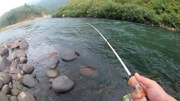 Câu cá Mương bằng mồi fly ở đầu đập thủy điện