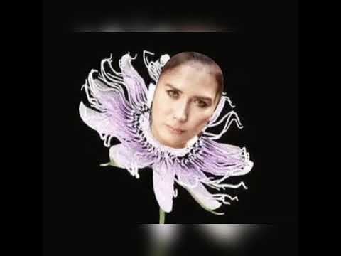 Diantara bias ragu nicky astria versi vidio.animasi.（NAF）.
