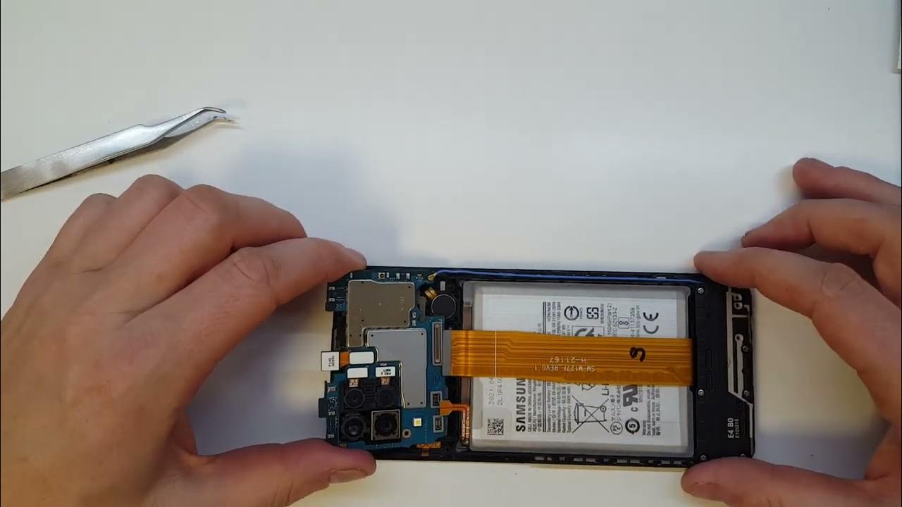 Как разобрать самсунг м12 Samsung Galaxy S10+ разобрали на видео: что скрывает в себе флагман Hi-Tech Ma