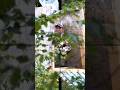 Страйкбол Снайпер | Лучшие попадания от первого лица #страйкбол #снайпер #airsoft #sniper #попадани