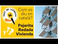 Pajarita, Redada, Vivienda… Com es diu en català? | Test de llengua