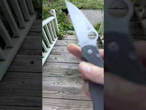 Happy Wharncliffe Wednesday!! Spyderco Para2 with Rockscale Designs “Critter” Titanium Scales