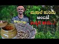 Ambate uppinakayi | Pickle recipe | Amtekai uppinkayi | ಅಂಬಟೆ ಉಪ್ಪಿನಕಾಯಿ | Hog plum pickle recipe