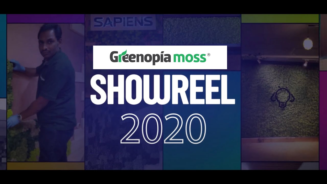 Greenopia MOSS - Showreel - Moss projects by Greenopia