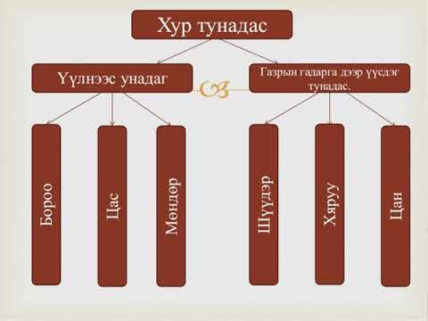 Видео: Хур тунадасны төрөл, үүсэх арга