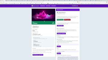 lightning network+ liquidity swap how to video