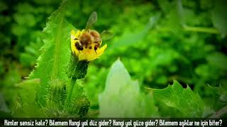 Bilinmeyen Saati Uygulaması/Yağmura Hasret