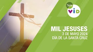 Los Mil Jesuses 🙏 3 de Mayo 2024 día de la Santa Cruz 🔴 En Directo #TeleVID #MilJesuses #SantaCruz