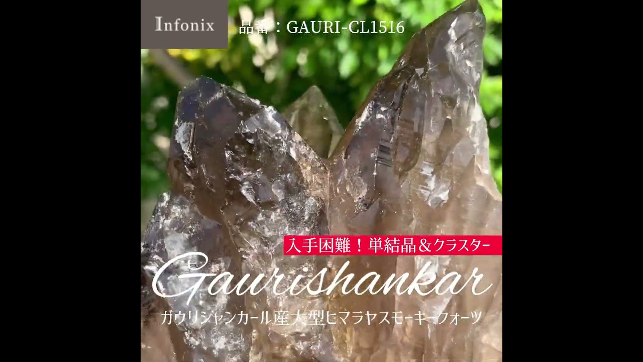 激レア　ガウリシャンカールクローライトオンスモーキークオーツクラスター　約63g 10/16新着情報☆入手困難！大型ガウリシャンカール産ヒマラヤ