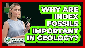 Why Are Index Fossils Important In Geology? - Biology For Everyone