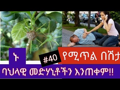 ቪዲዮ: የሚጥል በሽታ የማስታወስ ችሎታን ሊያሳጣ ይችላል?