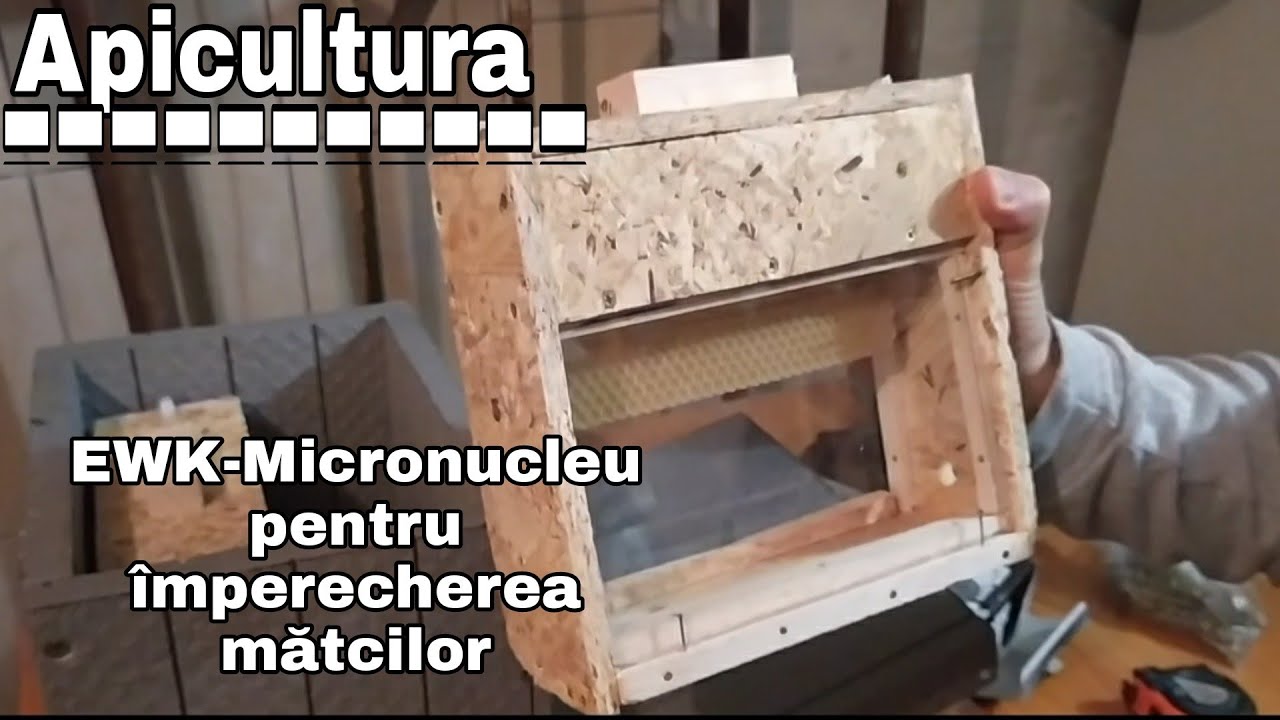 EWK- Micronucleu pentru împerecherea mătcilor (Apicultura)