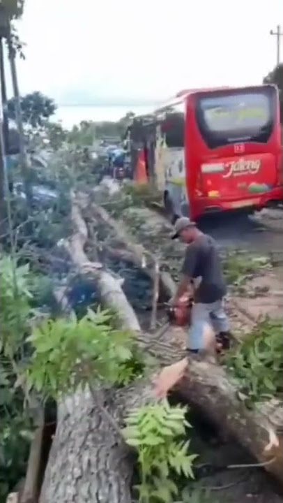 gubuk dawet melani yg viral kegusur