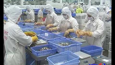 Cơ chế tự chứng nhận xuất xứ hàng hoá hỗ trợ DN xuất khẩu