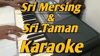 Sri Mersing & Sri Taman KARAOKE Melayu 2 Dimensi Saipul Amri