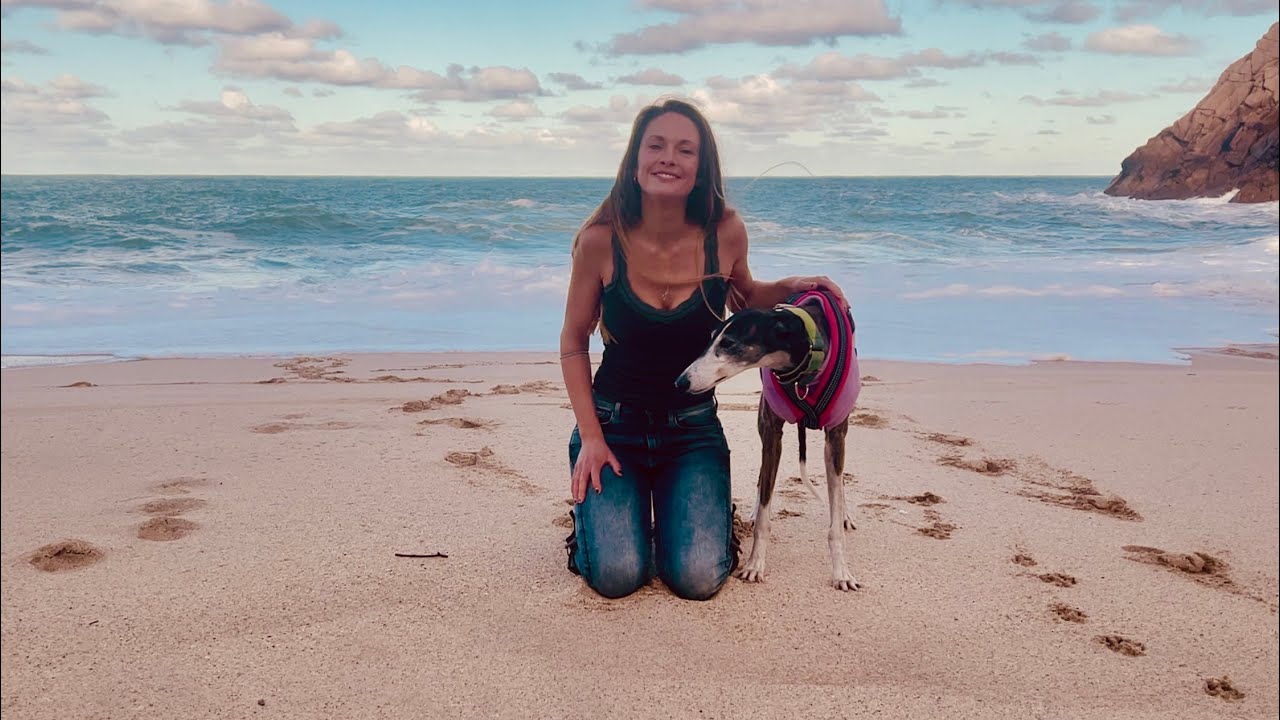 First mini adventure in Cornwall with my new greyhound 🐾 It feels so strange