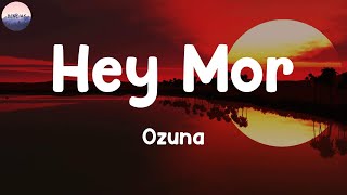 Bencias  Hey Mor (Letra/Lyrics) - Ozuna, Dua Lipa, Yng Lvcas