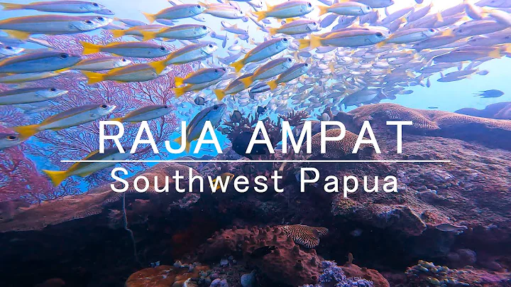 Raja Ampat - Dive into the Heart of Coral Triangle | Indonesia |