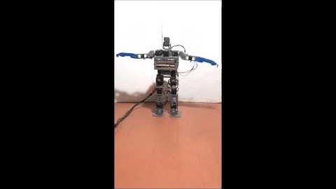 Swayat Humanoid - IvLabs VNIT Nagpur