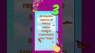 Tres datos sobre las mariposas monarca🦋 Tres datos sobre las mariposas monarca🦋