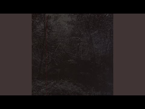 Guapo — II.
