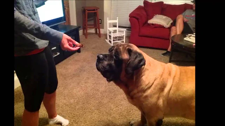 Remember Gus