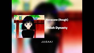 Shiloh Dynasty - Novacane (Rough)