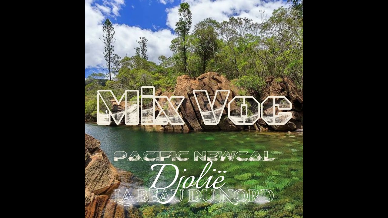 la beauté du nord remix 2025 Djolië yopoyo bonne fête le Nord 🔊 et Good Vibes 🍺