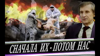 Сумасшедшие во власти // Уничтожение самих себя (В. Мельниченко)