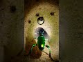 Tiger Beetle POV: High-Speed Micro-Camera Chase Inside an Underground Tunnel