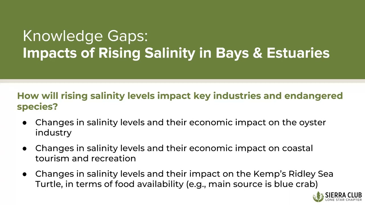 STAGES Partner Mini Workshop: Sierra Club Lone Star Chapter & Coastal Watch Association 04/07/2025
