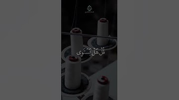 أحمد بن طالب بن حميد سورة الزمر #quran #الإيمان