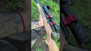 Qgk M30 HellCat Carabina pra longas distâncias