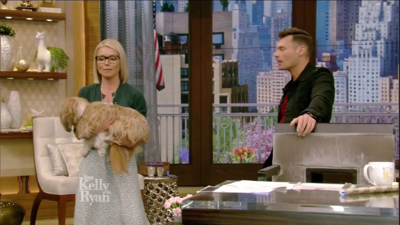 Kelly & Ryan Try the "Squat Your Dog Challenge" YouTube