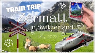 🇨🇭🚞 Switzerland vlog -Zermatt- スイス旅行no2, マッターホルン🏔️