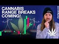 Cannabis stocks tighten