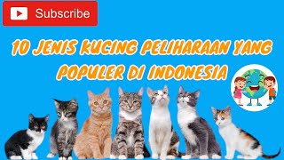 10 Jenis Kucing Peliharaan yang Populer serta Karakternya