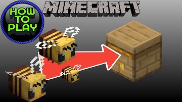 How To Get Bees Into Your Beehive in Minecraft
