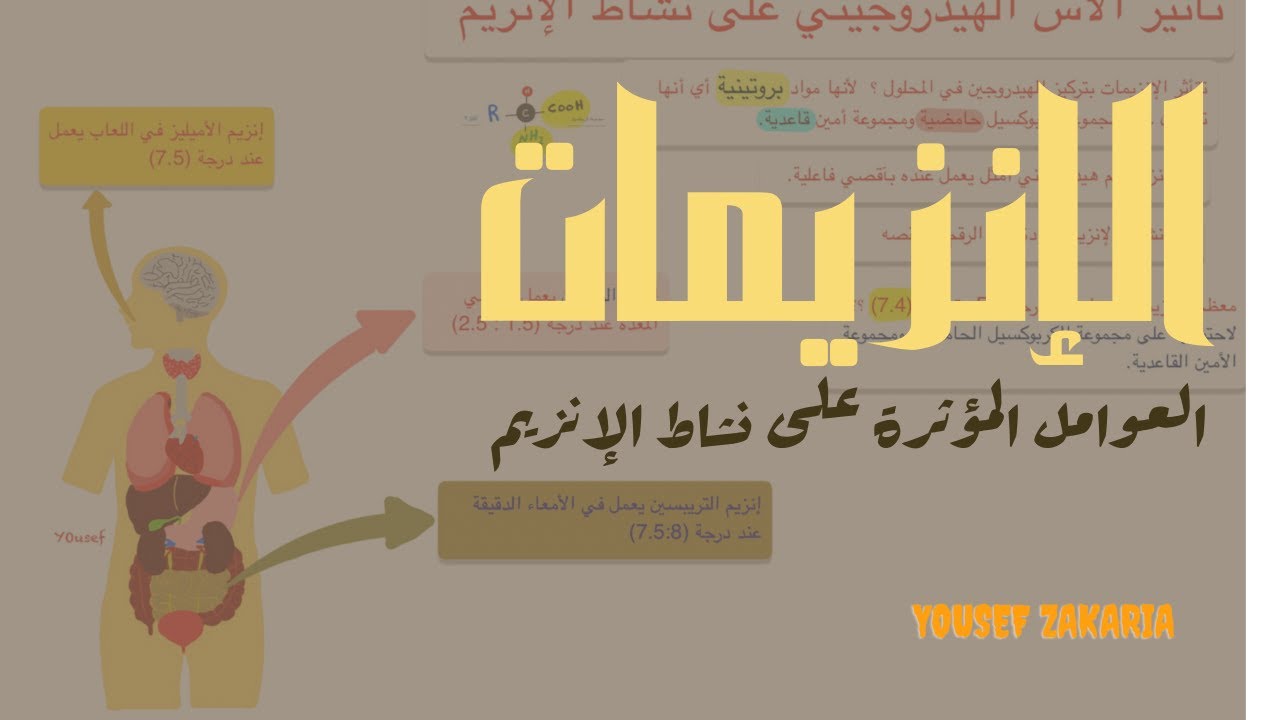 الإنزيمات || العوامل المؤثرة على نشاط الإنزيم