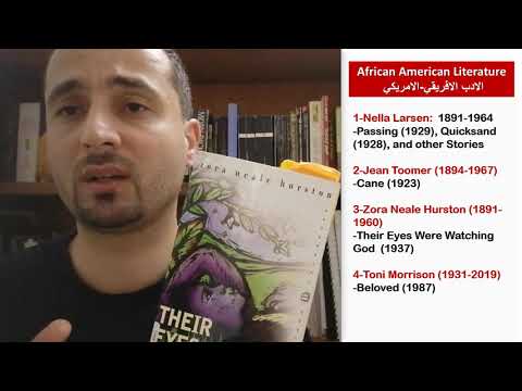 African American Lit الادب الافريقي-الامريكي