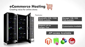 Best Ecommerce Hosting  Company India | Sathyainfo