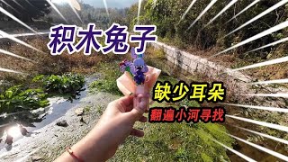 【合集】水草裡面發現一隻積木兔子頭，但是缺少耳朵，翻遍小河找丟失耳朵！ 【野王大坤戶外】