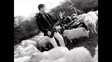 Airhead - Counting Sheep (Official Music Video)