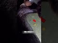 卵で大物を釣る