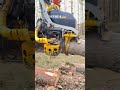 Tree processing #forest #sharpsteel #work